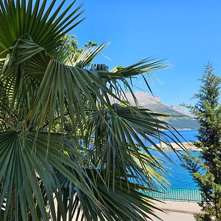 Villa Jade Apartments Front Row Sea View - Walk To Korcula Old Town Medvinjak Екстериор снимка