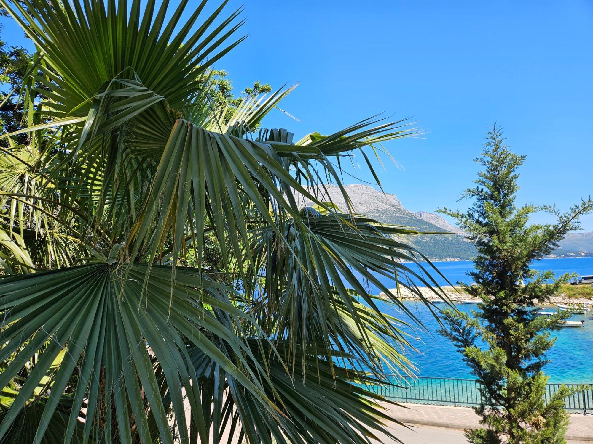 Villa Jade Apartments Front Row Sea View - Walk To Korcula Old Town Medvinjak Екстериор снимка